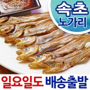 용대리 황태덕장 건조 노가리 20마리(대)
