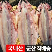 군산 반건조 삼치 2-3마리 국내산 반건조생선모음10종