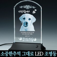 애견 반려견 초상화 기념품/크리스탈 조각/장례용품